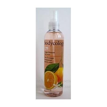 Image For: Bodycology Body Mist, Orange Blossom - 8 oz