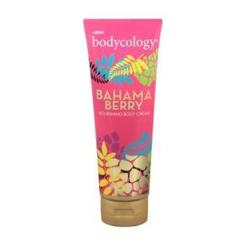 Image For: Bodycology Nourishing Body Cream, Bahama Berry - 8 oz