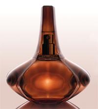 Secret Obession by Calvin Klein for Women