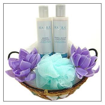Image For: Beautiful Hair Gift Basket